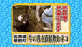 20100901202721