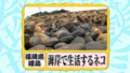 20100901210344