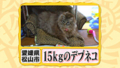 20100904000107