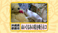 20100904001547