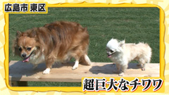 20101126014322
