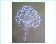 20101130004348