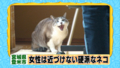 20120620153811
