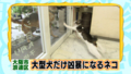 20120622200724