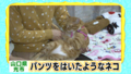 20120622201705