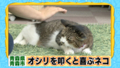 20120622201913