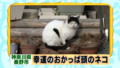20120623013845