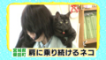 20120623020051