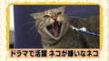 20120623020140