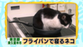 20120623020158
