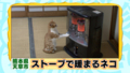20120623020237