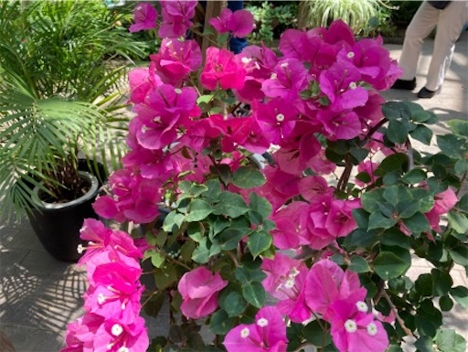 f:id:siji-milife:20210830142337j:image