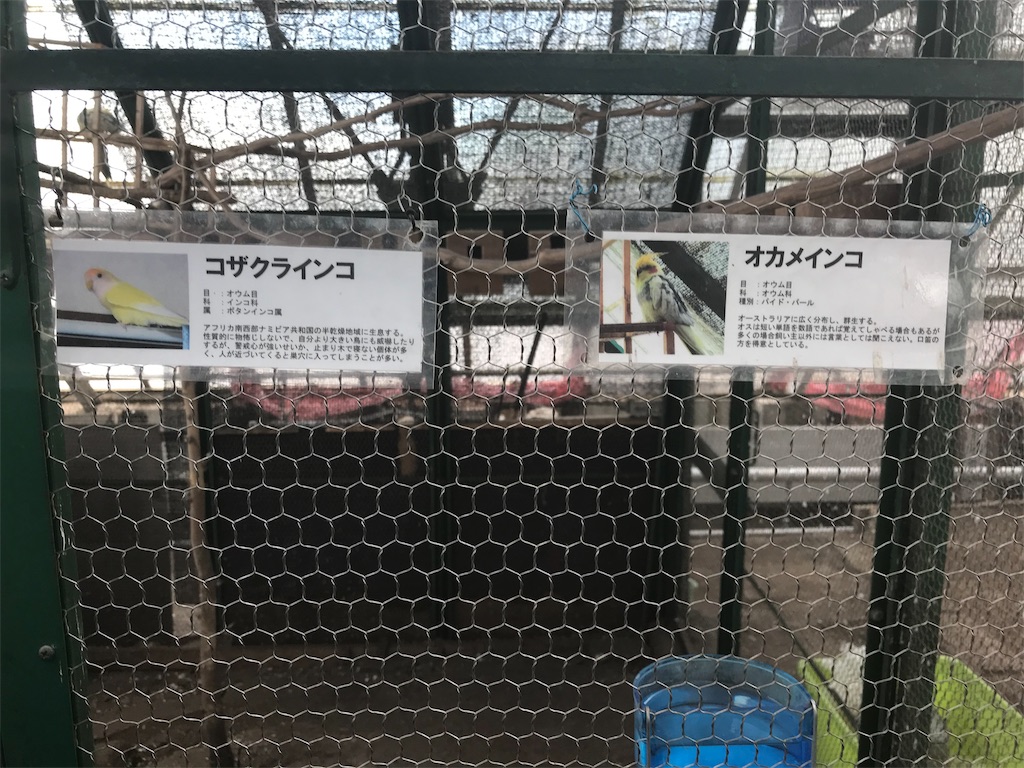 f:id:sik_mgmg:20190417005120j:image f:id:sik_mgmg:20190417005120j:image