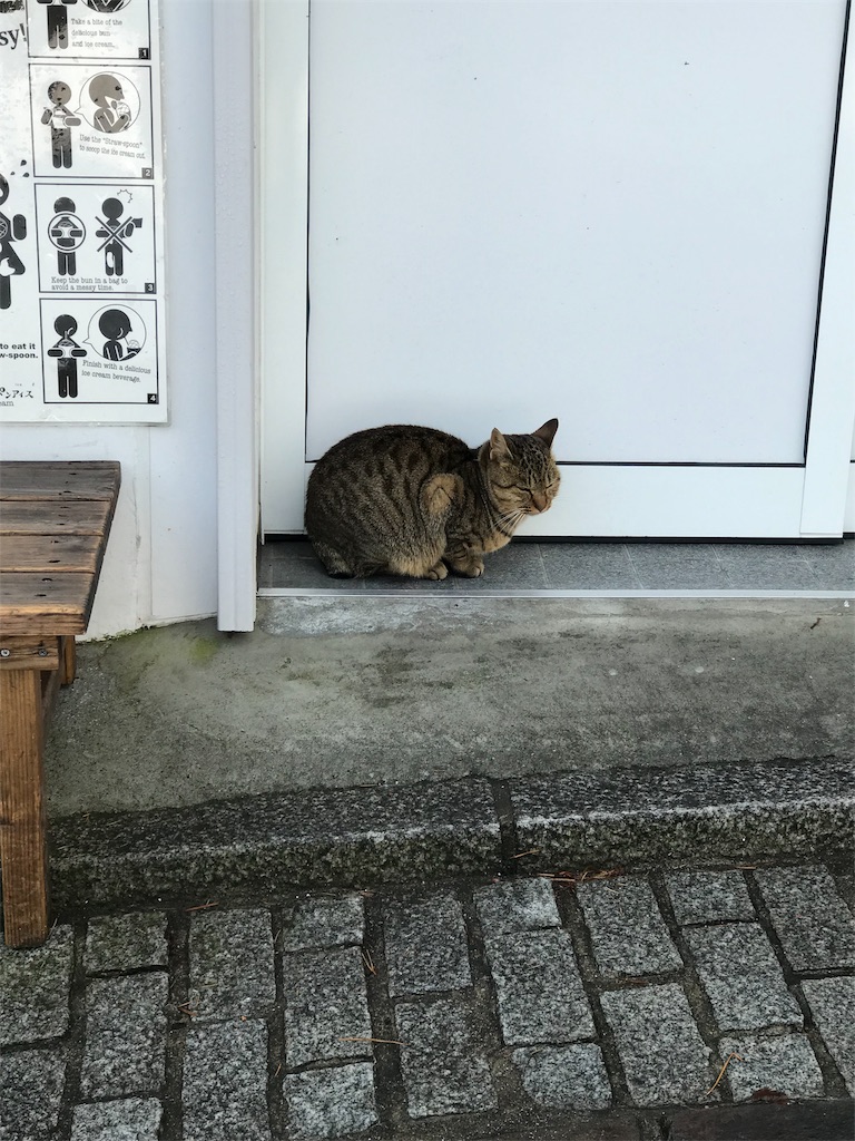 f:id:sik_mgmg:20190417005343j:image f:id:sik_mgmg:20190417005343j:image