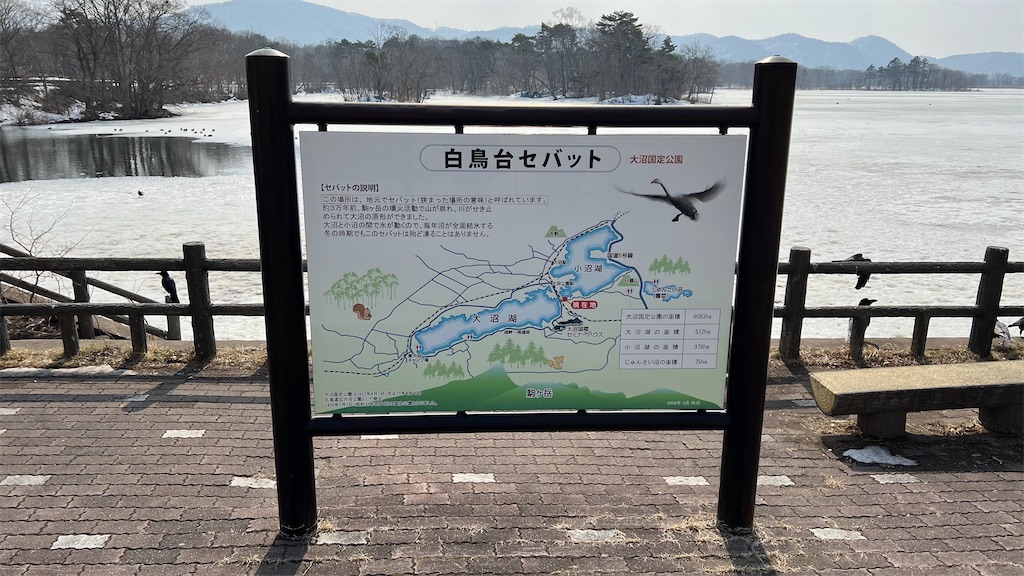 f:id:sik_mgmg:20240629154206j:image f:id:sik_mgmg:20240629154206j:image