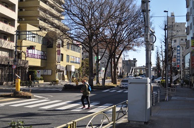 f:id:sika65sgg:20190128093012j:plain