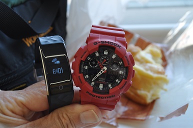 f:id:sika65sgg:20190128093033j:plain