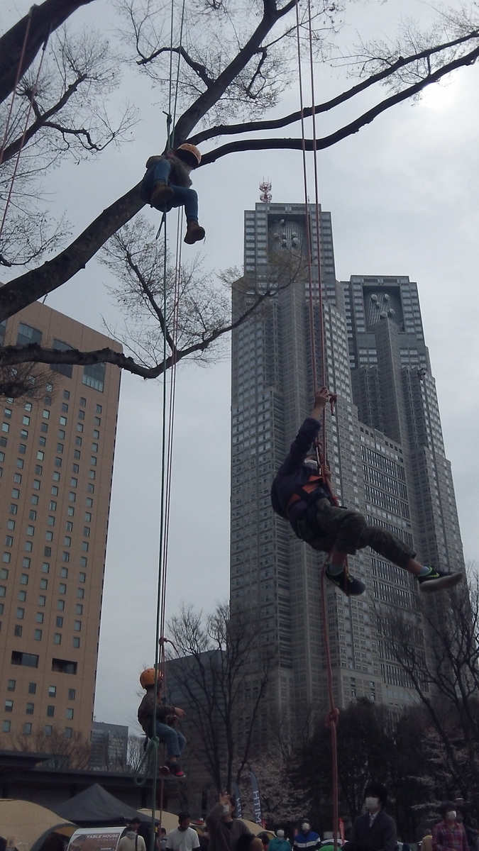 f:id:sika65sgg:20220326201247j:plain