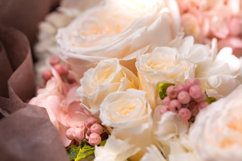 f:id:sikanosuke6:20200215111102j:plain