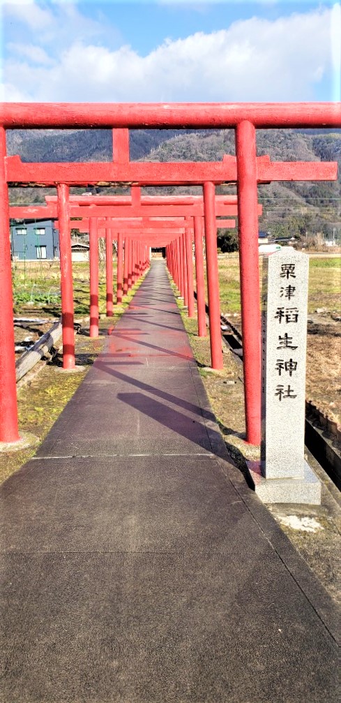 f:id:sikanosuke6:20220210152402j:plain