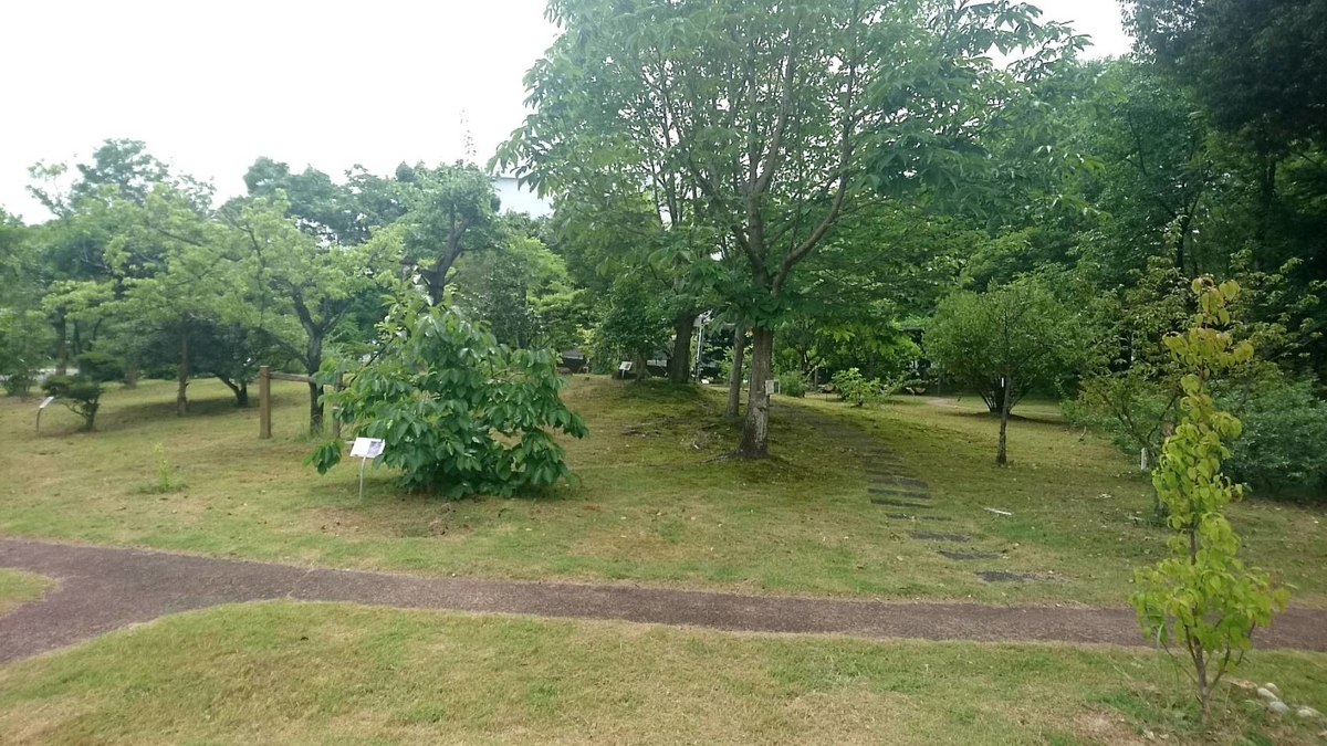 f:id:sike_science:20200628214321j:plain