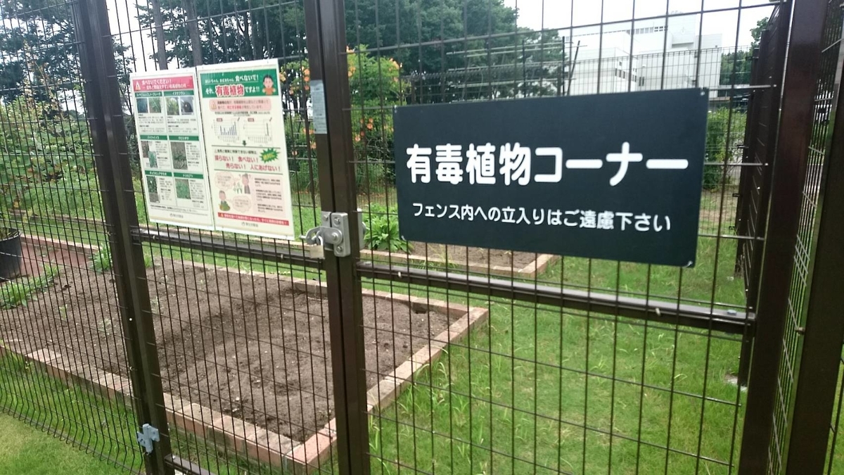 f:id:sike_science:20200628214758j:plain