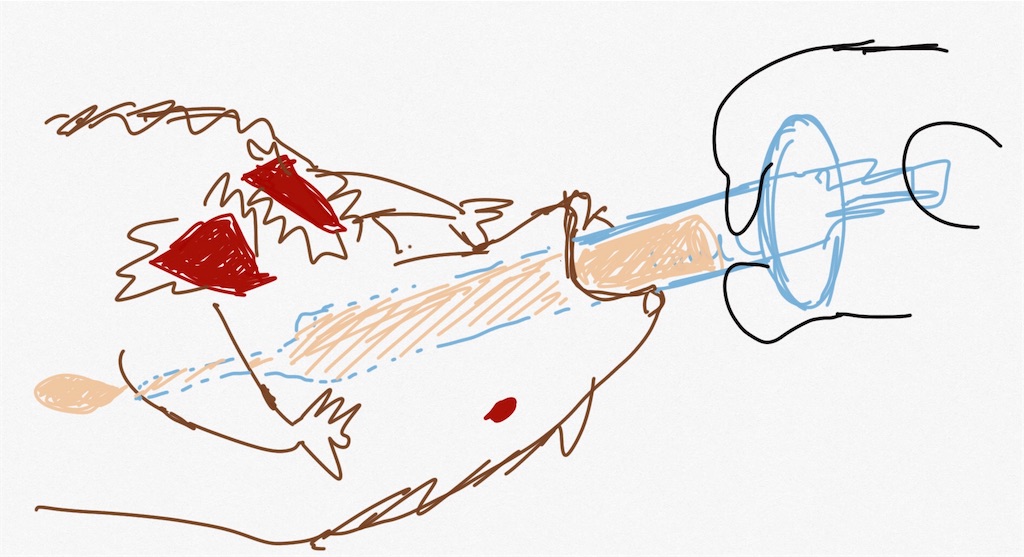 f:id:sike_science:20200929010219j:image