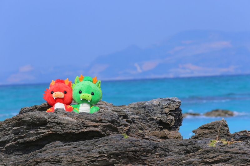 f:id:sikiamano:20150110113632j:image:w360 f:id:sikiamano:20150110113632j:image:w360