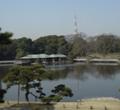 [東京の風景]東京恩賜公園と東京タワー