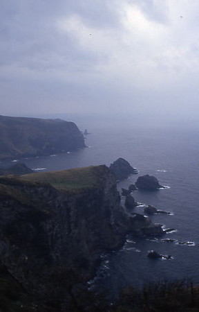 国賀海岸