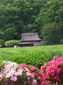 [岡山の風景]2008年5月8日撮影
