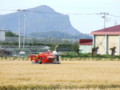 [余市の風景]仁木町にて2006年10月1日撮影