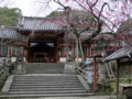 [奈良の風景]氷室神社にて2010年3月1日撮影