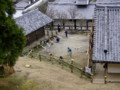 [奈良の風景]東大寺にて2010年3月1日撮影