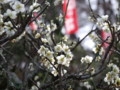 [奈良の風景]明日香村にて2010年3月2日撮影