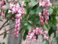 [奈良の風景]明日香村にて2010年3月2日撮影