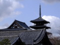 [奈良の風景]法隆寺にて2010年3月3日撮影