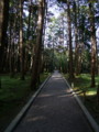 [奈良の風景]唐招提寺にて2010年3月3日撮影