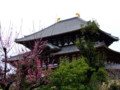 [奈良の風景]東大寺にて2010年3月4日撮影