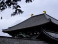 [奈良の風景]東大寺にて2010年3月4日撮影