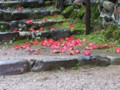 [奈良の風景]白毫寺にて2010年3月5日撮影