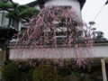 [奈良の風景]白毫寺近くにて2010年3月5日撮影