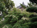 [奈良の風景]新薬師寺にて2010年3月5日撮影