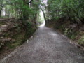 [奈良の風景]春日大社にて2010年3月5日撮影