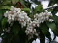 [奈良の風景]奈良市高畑にて2010年3月5日撮影