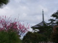 [奈良の風景]法起寺にて2010年3月3日撮影