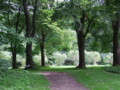 [北大植物園の風景]2010年9月10日撮影