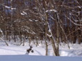 [小樽の風景]裏山にて2011年2月9日撮影