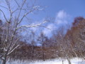 [小樽の風景]裏山にて2011年2月9日撮影