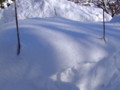 [小樽の風景]裏山にて2011年2月9日撮影